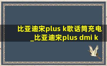 比亚迪宋plus k歌话筒充电_比亚迪宋plus dmi k歌话筒